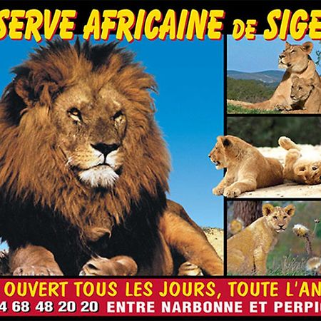 Le Mieukerien - Reserve Africaine 15 Mn, Plage 200M, Terrasse Port-la-Nouvelle Buitenkant foto