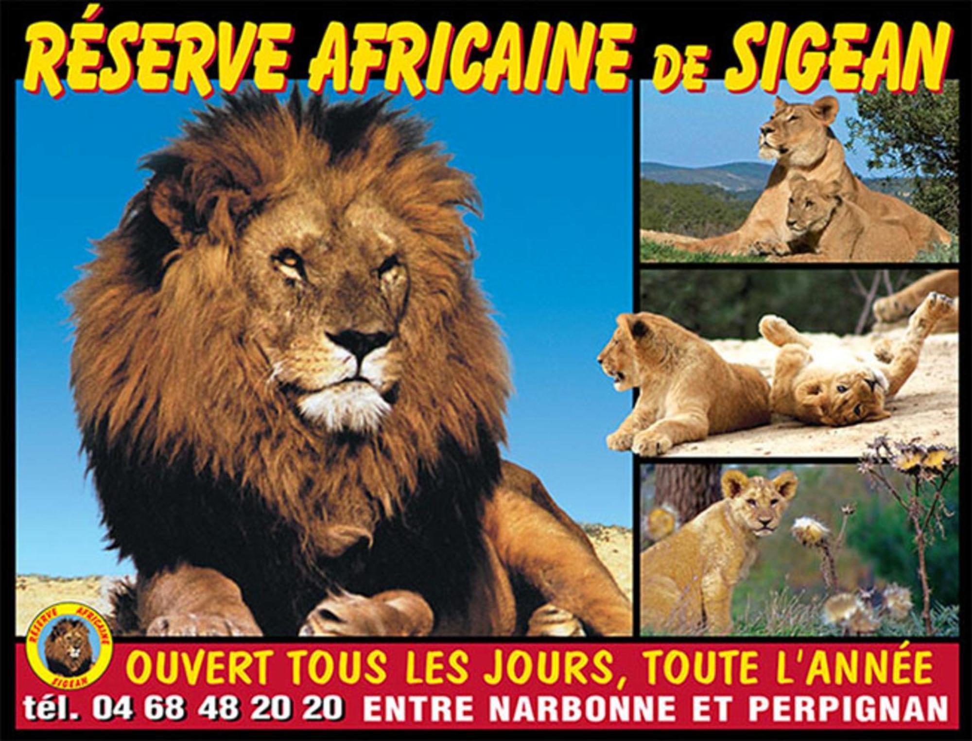 Le Mieukerien - Reserve Africaine 15 Mn, Plage 200M, Terrasse Port-la-Nouvelle Buitenkant foto